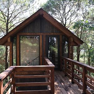 Bungalow Superior